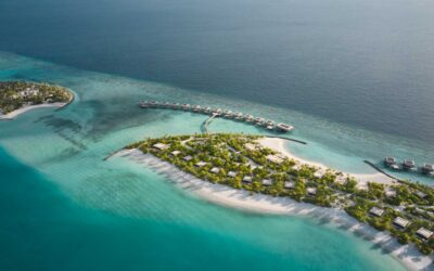 Patina Maldives, Contemporary Eco-Conscious Luxe