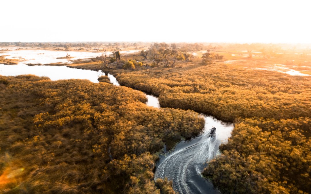 Canoe Journeys at Wilderness Vumbura Plains, Botswana