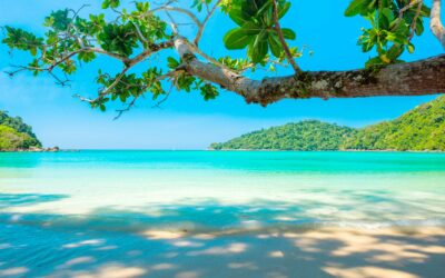 Coastal Chic: Discover the Hottest New Luxury Hotels by the Sea in 2025