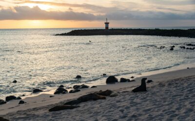 Exploring Coastal Wildlife Sanctuaries by the Water in Winter