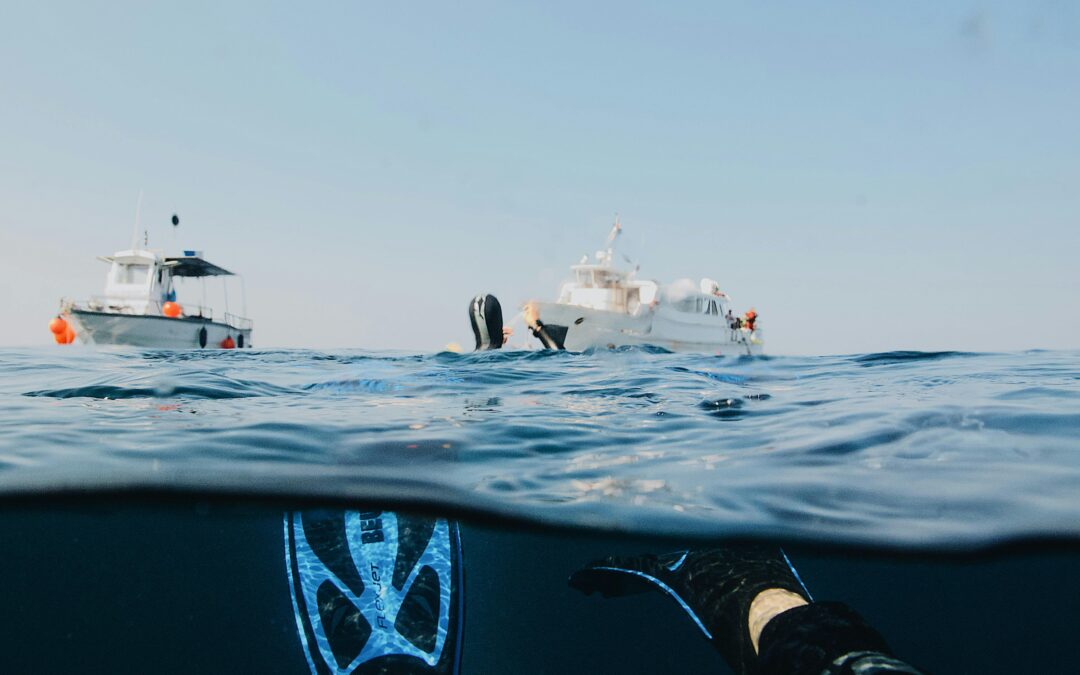 Winter Snorkelling and Diving: Warm Waters Await